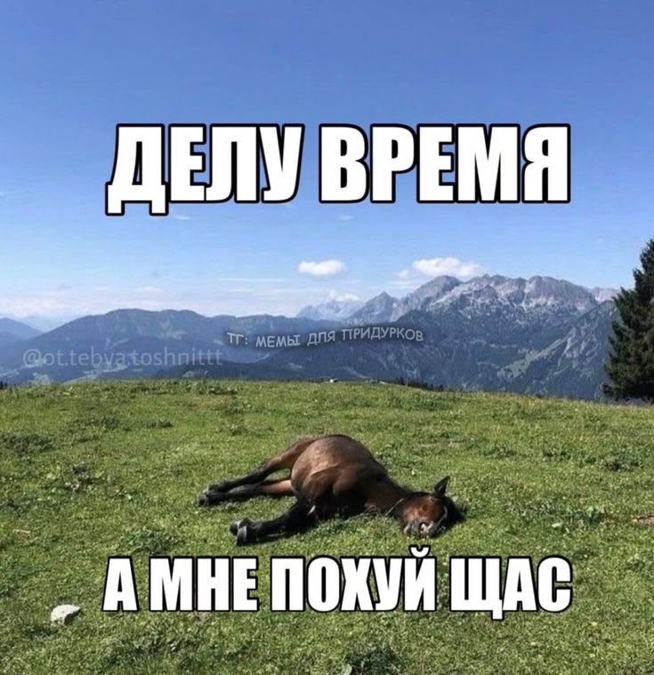 лошадь: делу время а мне похуй щас