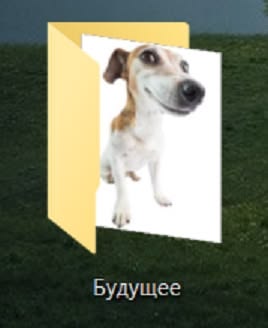 папка будущее с собакой