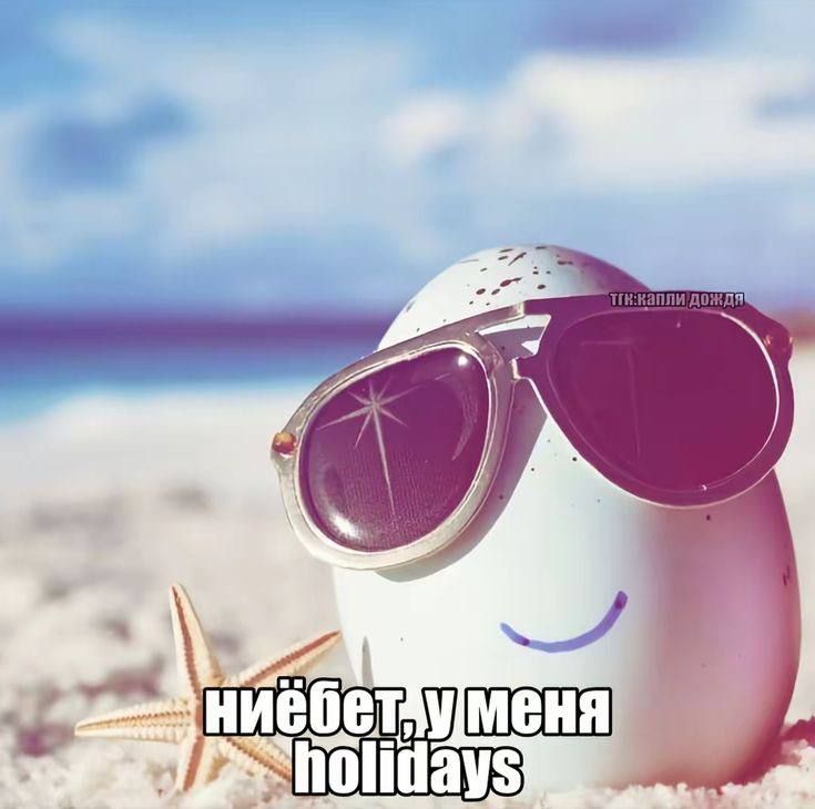 яйцо в очках: ниёбет у меня holidays